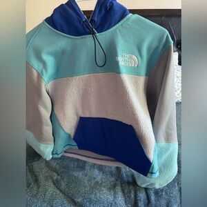 The North Face crop top hoodie
